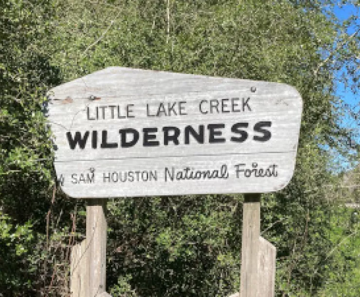 Little Lake Creek Wilderness