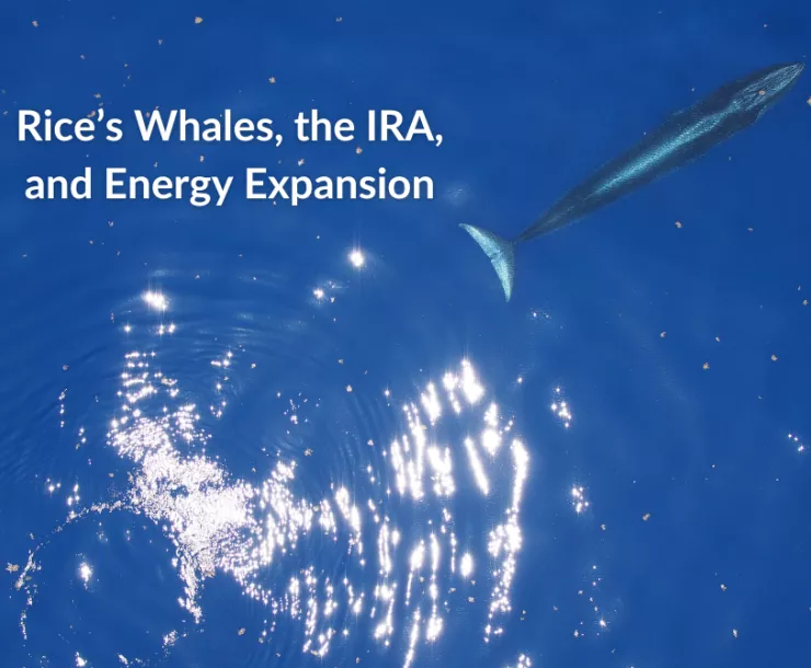 A long, slim whale is spotted from above in brilliant blue waters. Text: Rice's Whales, the IRA, and Energy Expansion