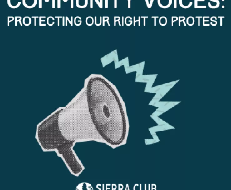 Community Voices: Protecting our Right to Protest with megaphone graphic