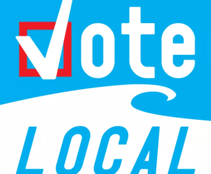 vote local.gif