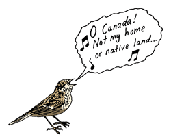 The Baird&#039;s sparrow, a favorite of U.S. birdwatchers, is being pushed out of North Dakota and Montana and into Canada  by climate change.