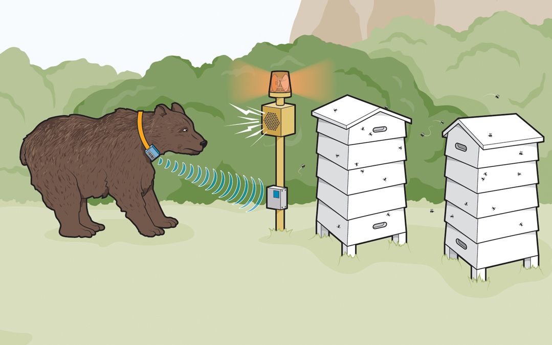 Gizmos and gadgets to help wildlife coexist with their human neighbors
