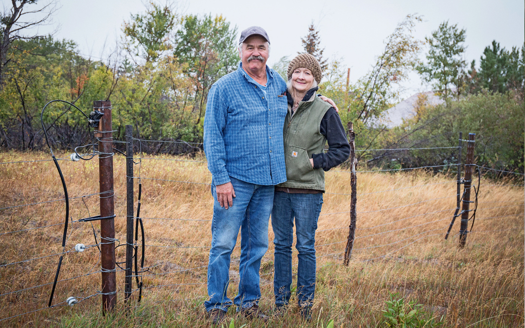 Sheep ranchers John and Leanne Hayne say they are "trying to negotiate living with bears."