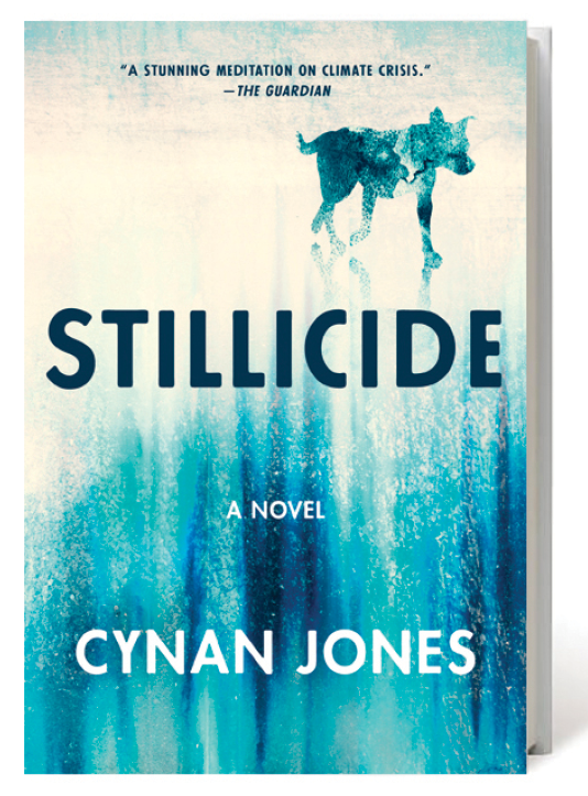 Stillicide by Cynan Jones