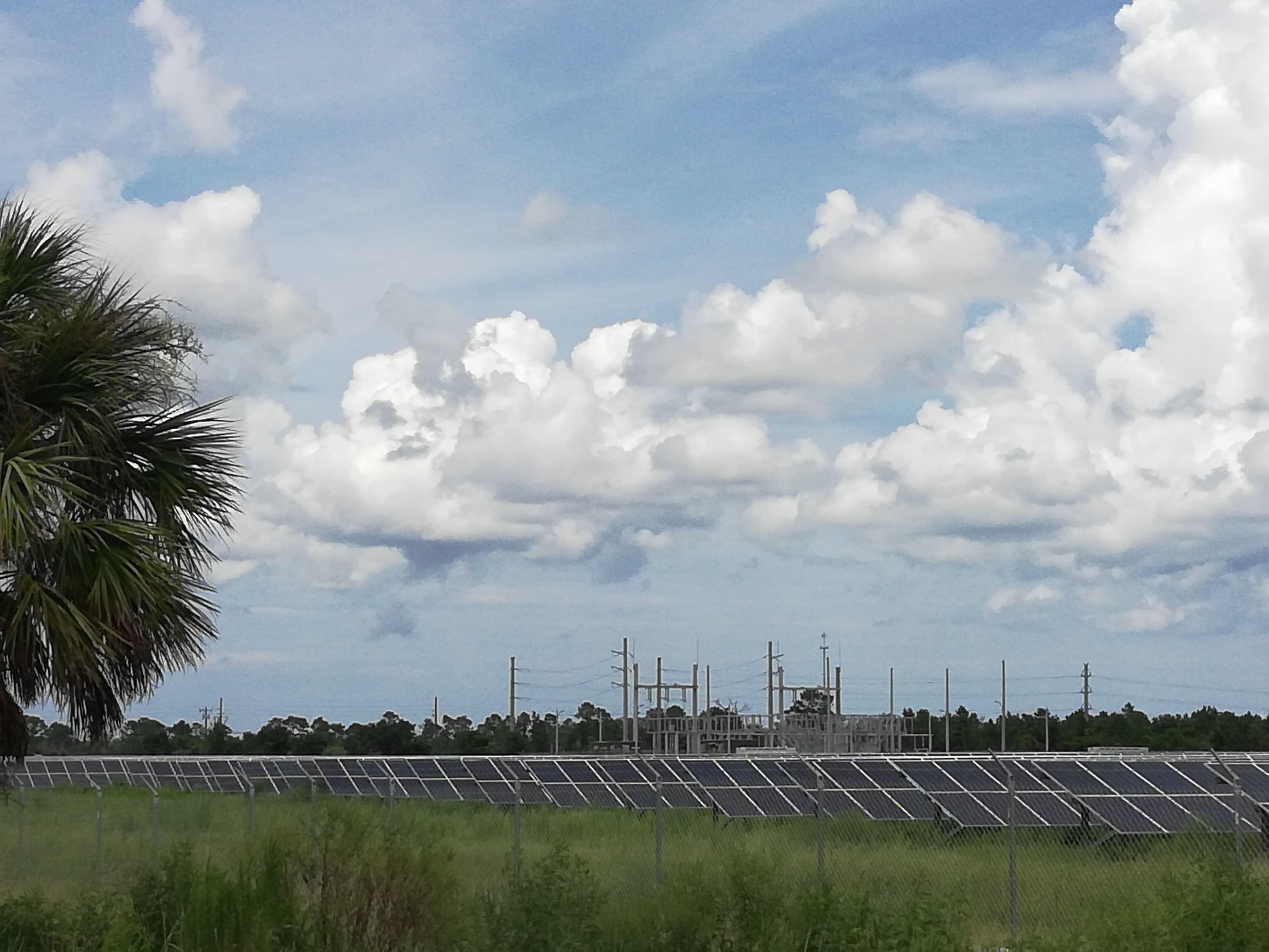 New Smyrna Beach, FL solar farm