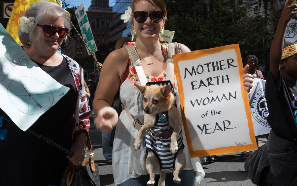 It wouldn't be a San Francisco get-together without a dog in a baby carrier. 