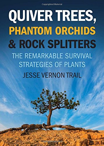 Quiver Trees, Phantom Orchids &amp; Rock Splitters