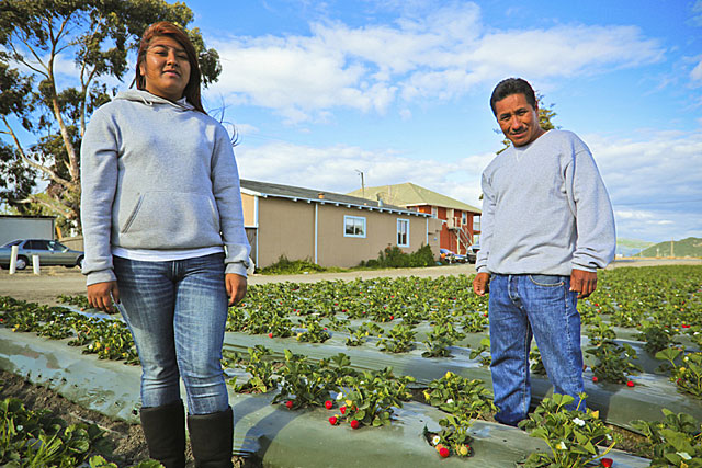 Seventeen-year-old activist Carolina stands in the fields with her father, Sabino, who has been a piscadore, or strawberry picker, for 20 years.