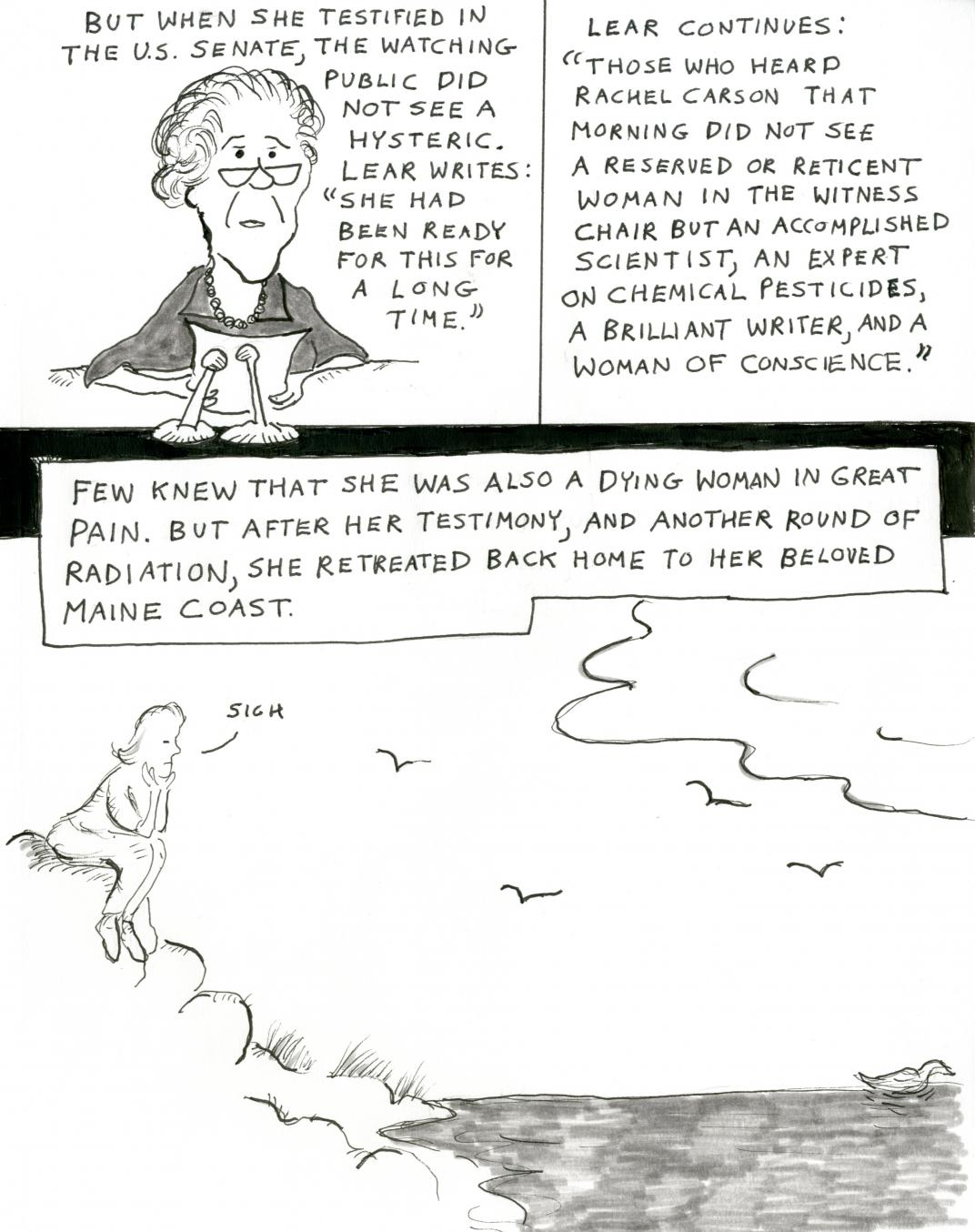 Rachel Carson cartoon