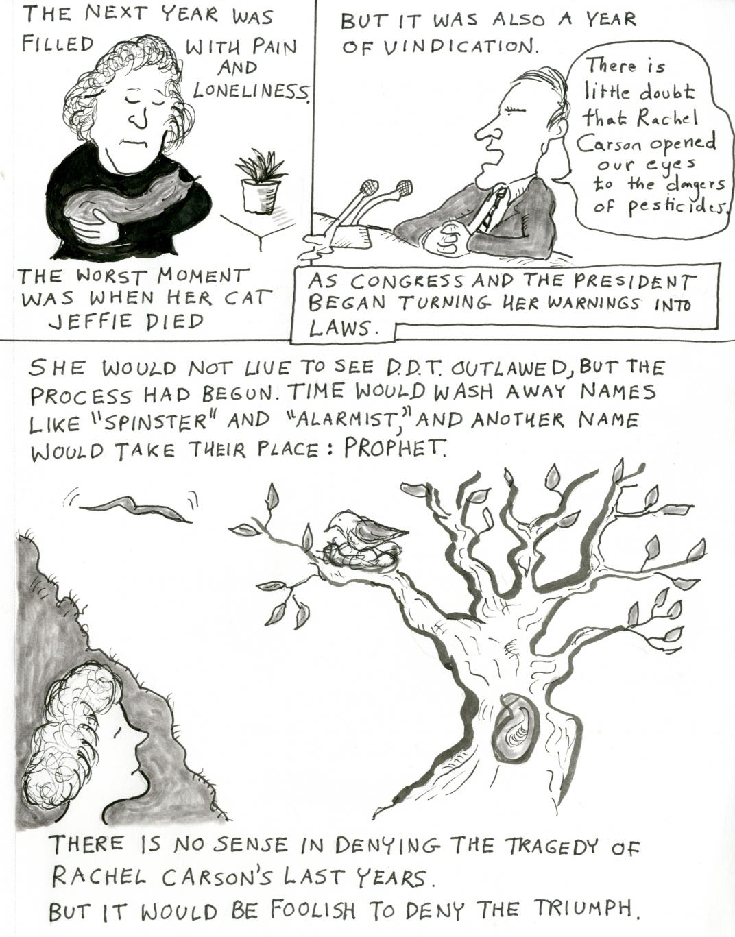 Rachel Carson cartoon