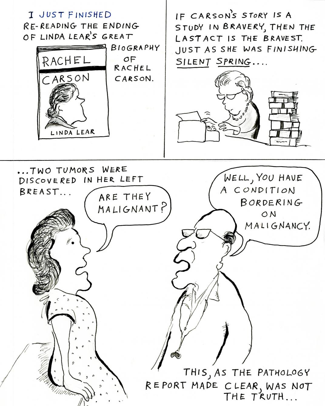 Rachel Carson cartoon