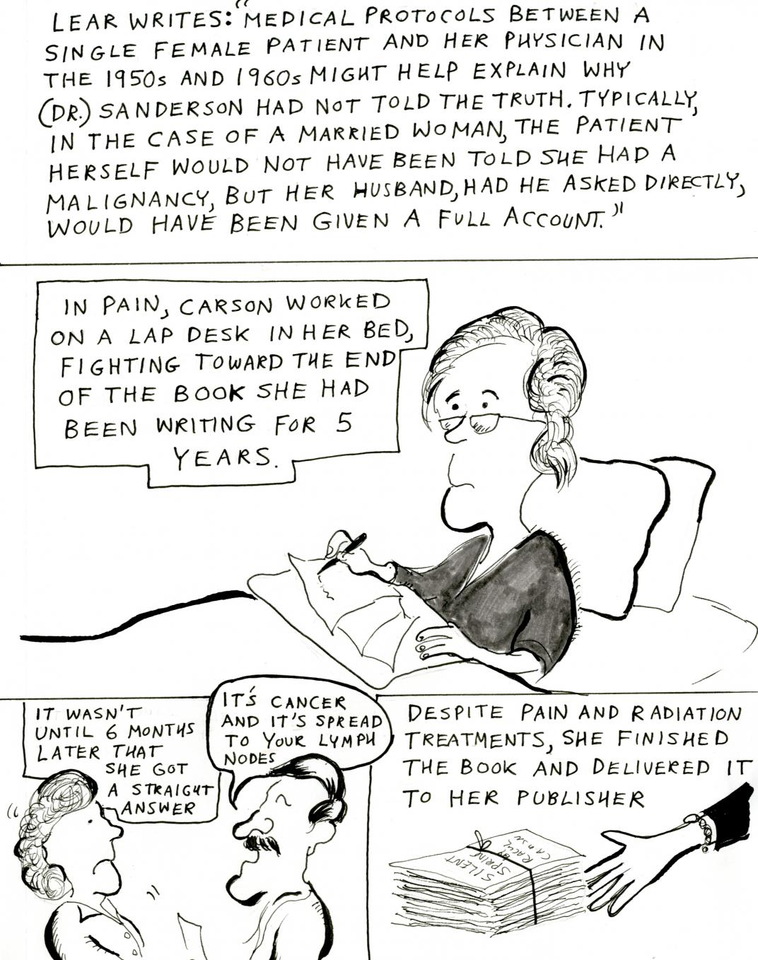 Rachael Carson cartoon