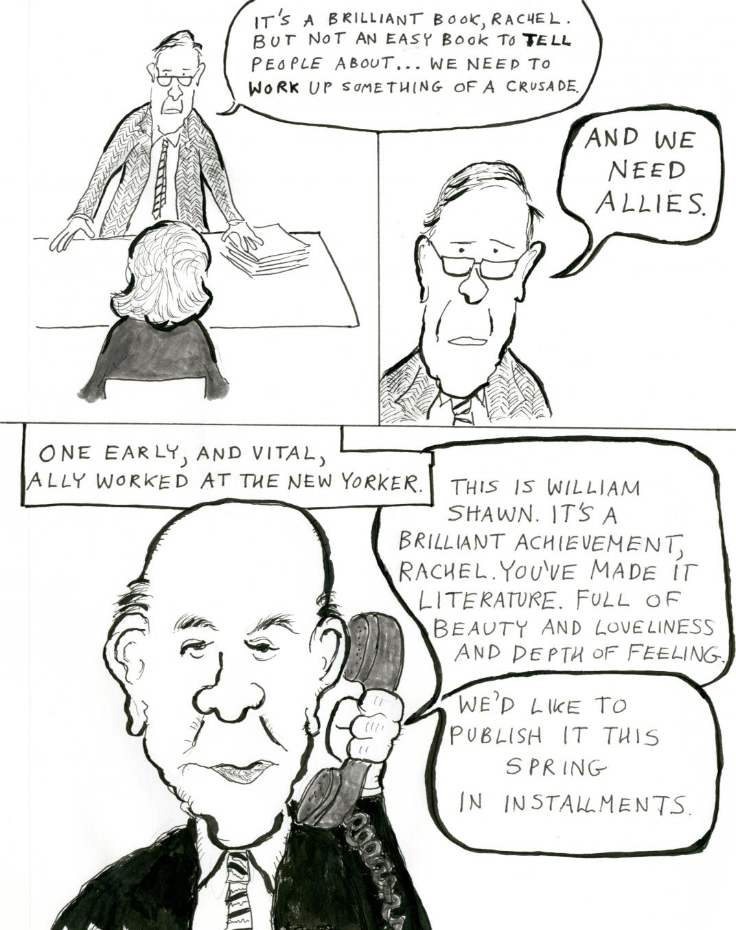 Rachael Carson cartoon