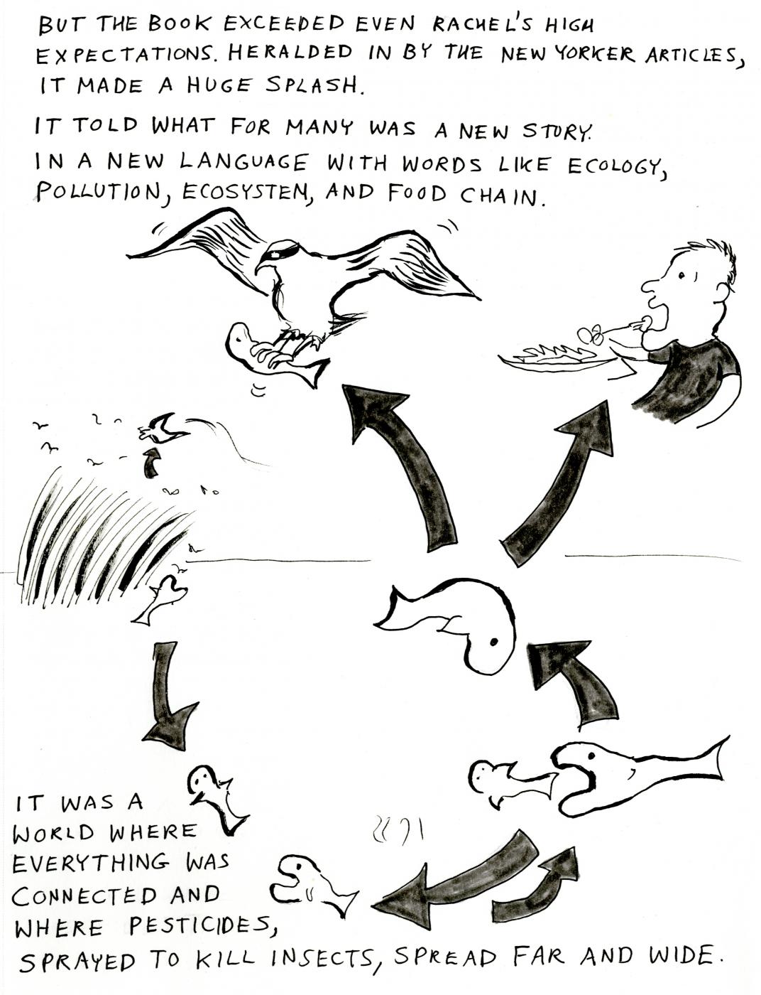 Rachel Carson cartoon