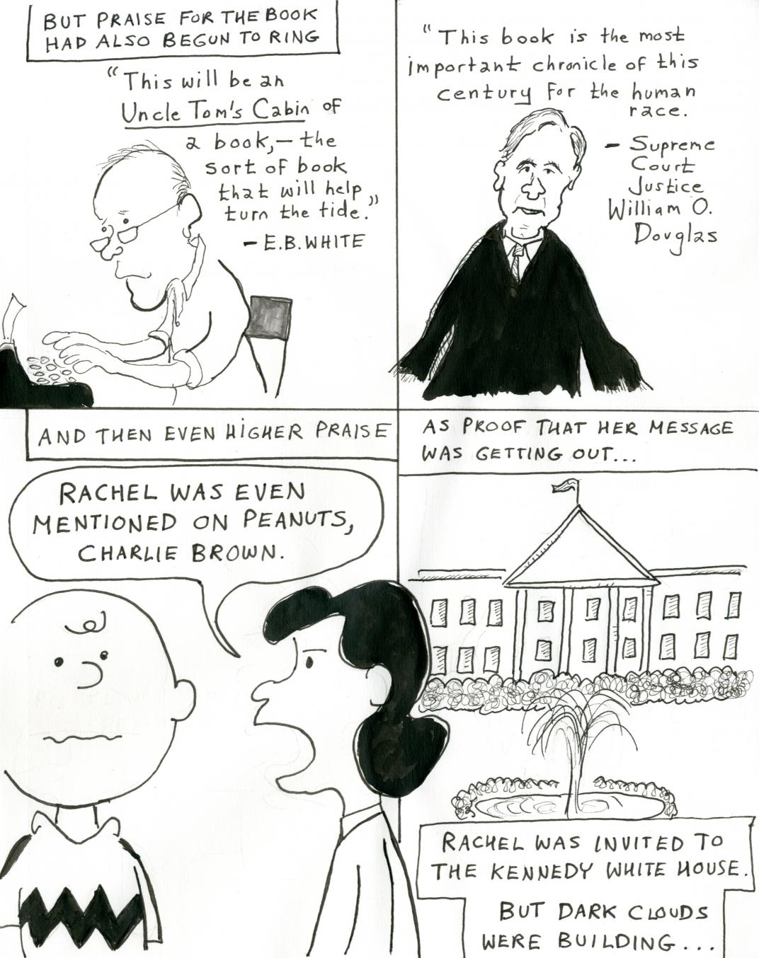 Rachel Carson cartoon