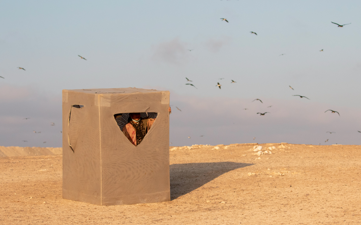 A short phonebooth-looking box has a hole cut out and shows the front of someone inside. Birds fly overhead.