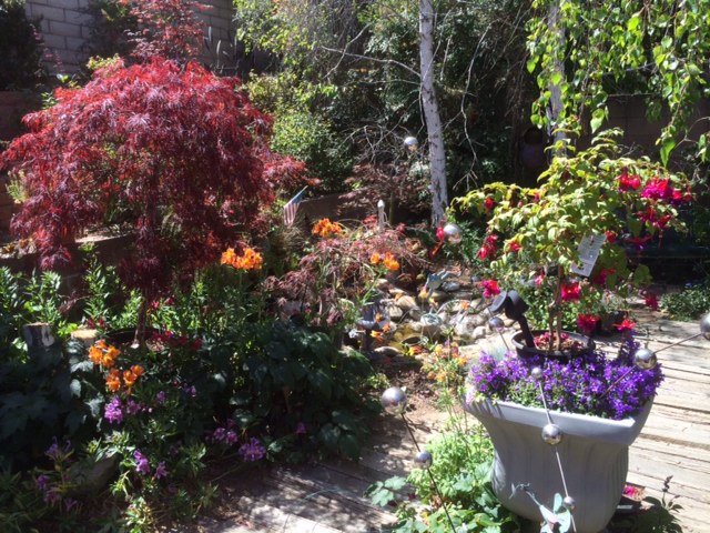Jim Hines’ garden in March 2023