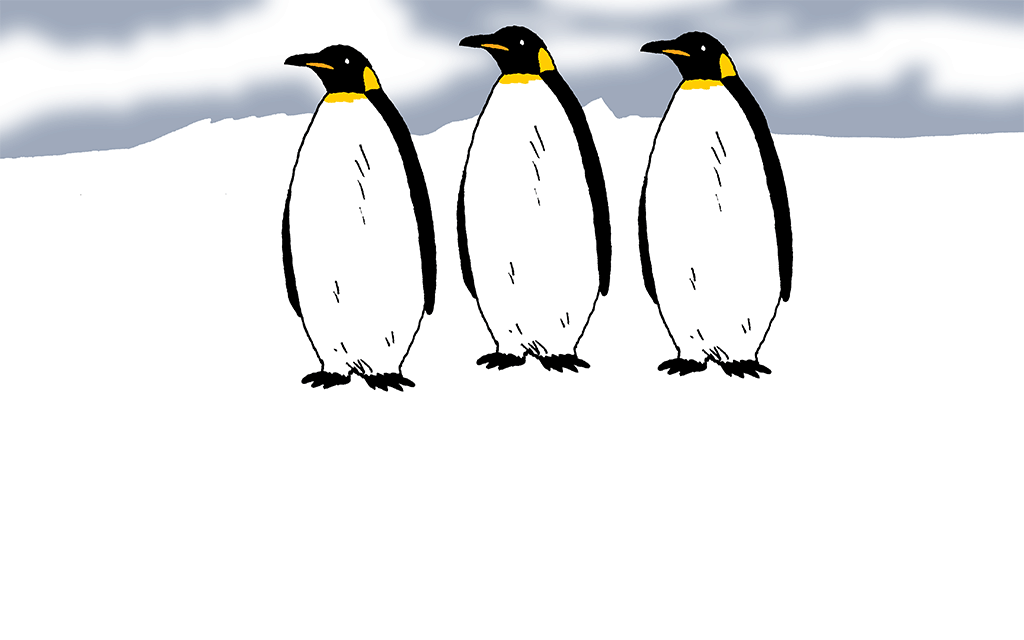 penguins