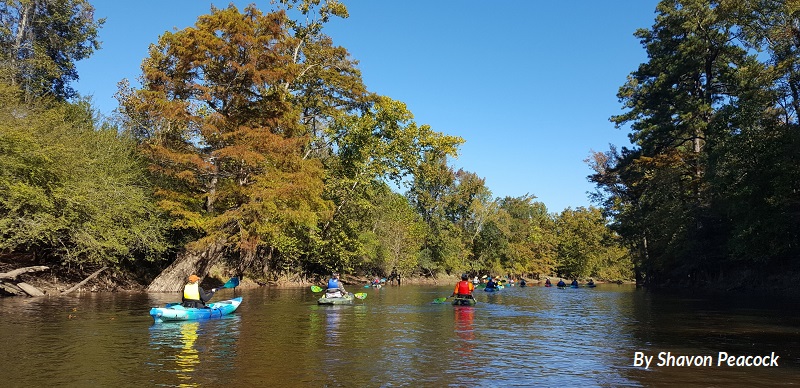 Kayakers paddle down the Nottaway River near the VA/NC border on a sunny day. Image by Shavon Peacock