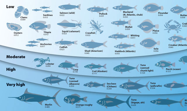 chart of mercury in fish