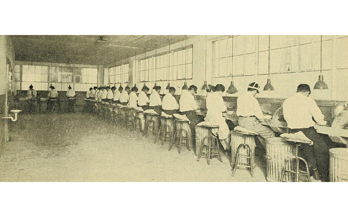 Photo from The Rise and Decline of the Olympia Oyster via Biodiversity Heritage Library