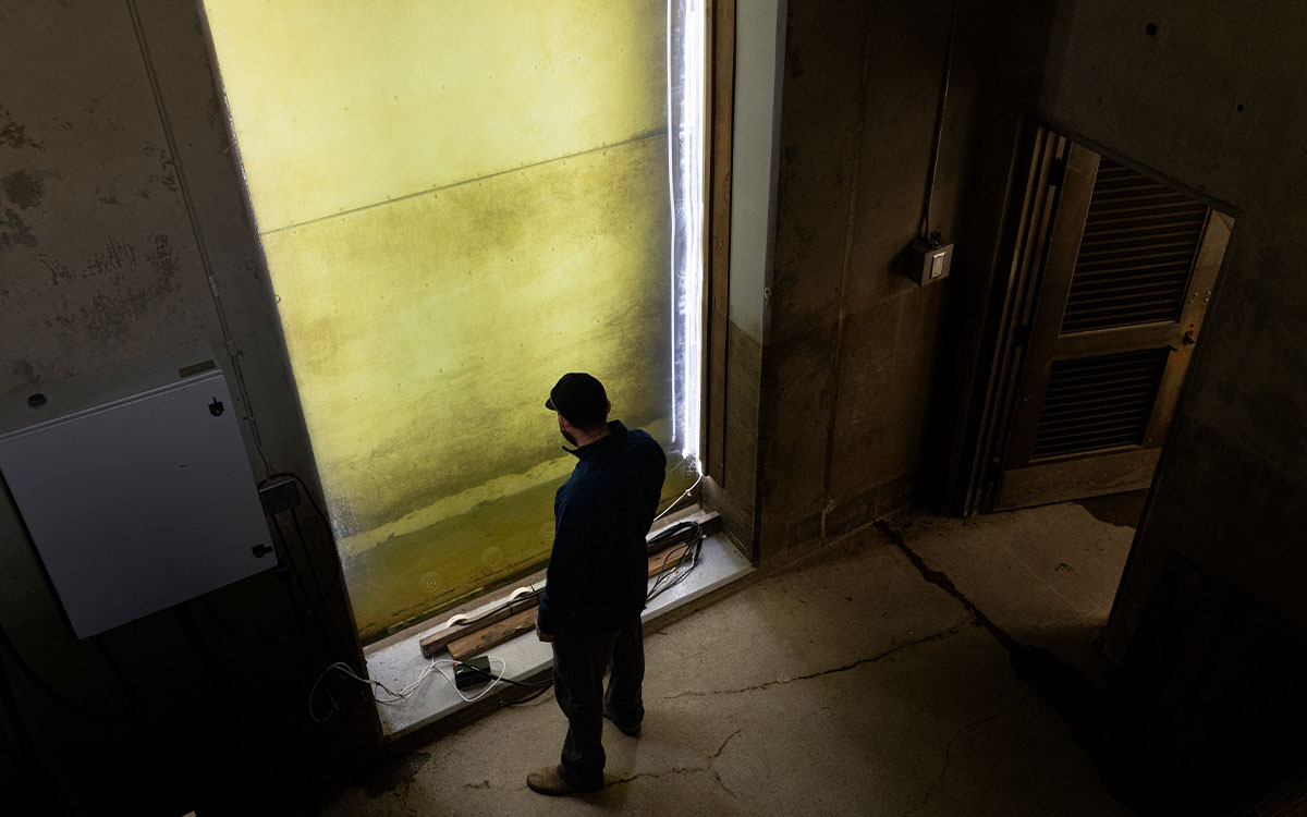 Photo by Kaare Iverson