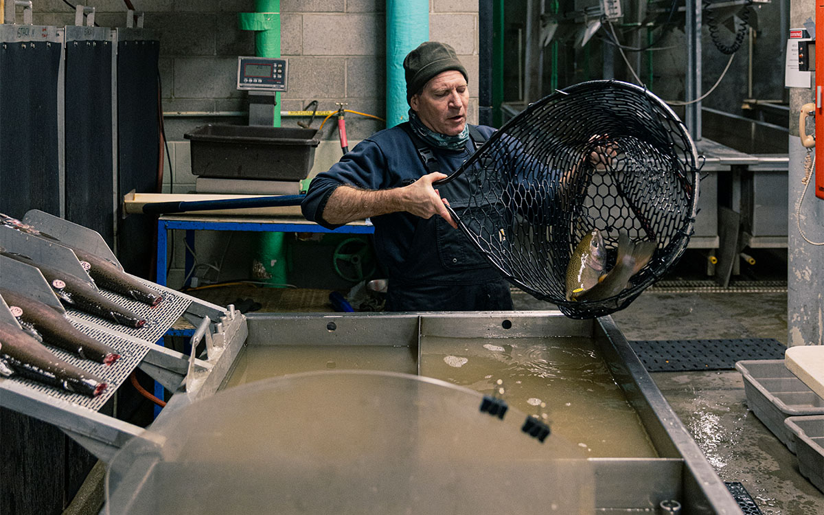 Photo by Kaare Iverson