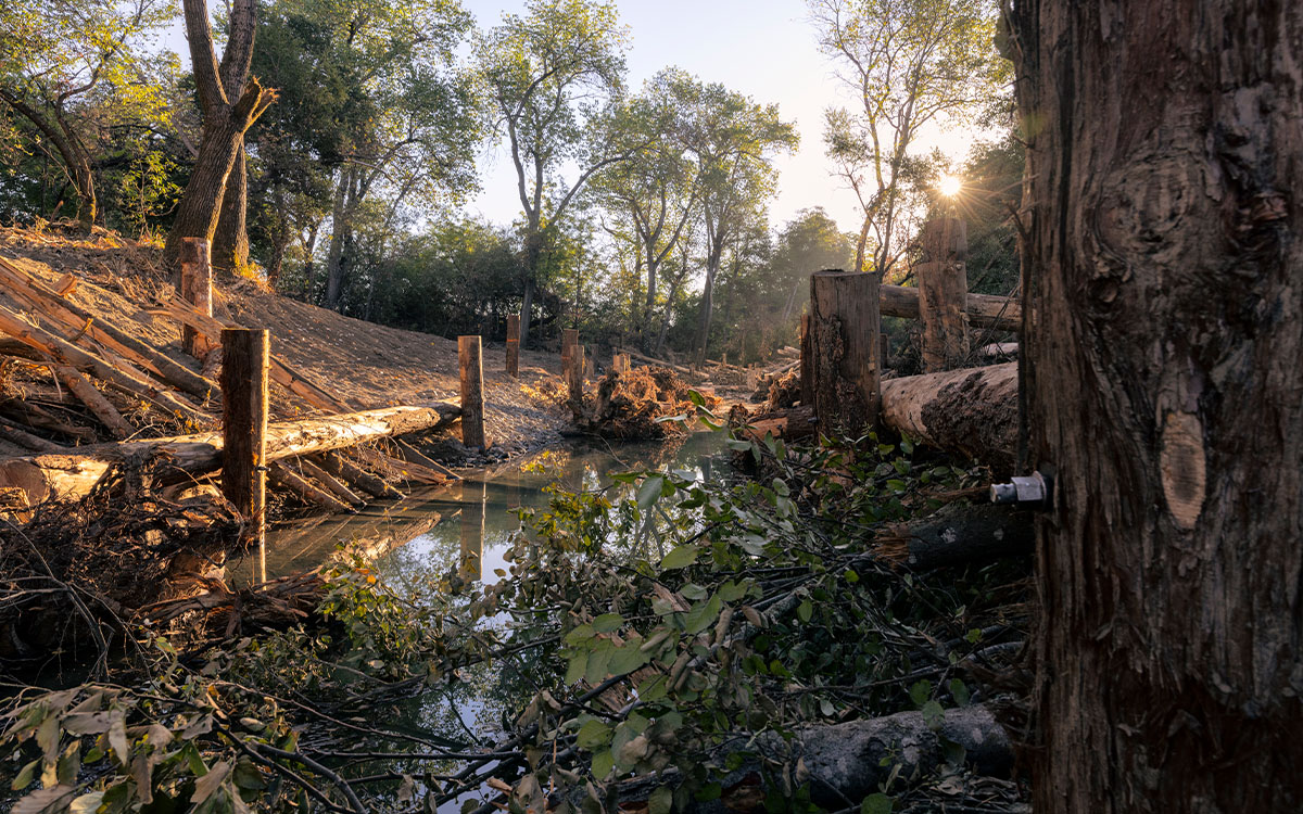 Photo by Kaare Iverson