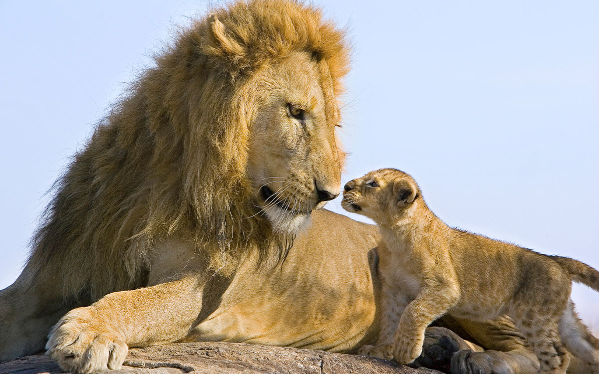 Photo by Suzi Eszterhas from Seeing It All: Women Photographers Expose Our Planet