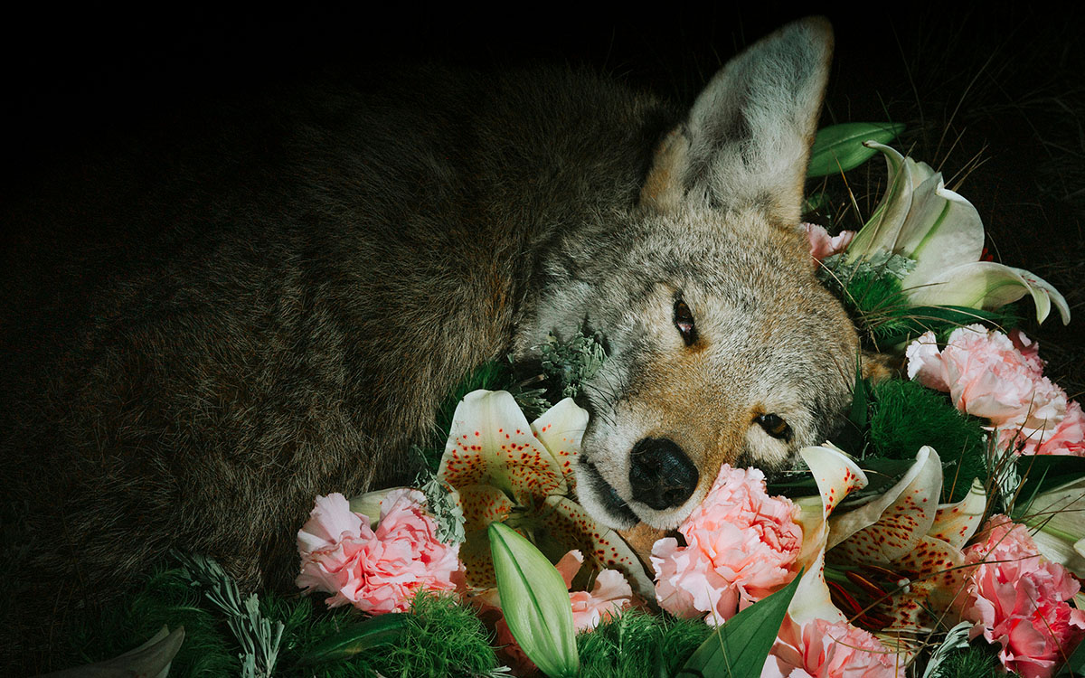 Photo by Morgan Heim from Seeing It All: Women Photographers Expose Our Planet