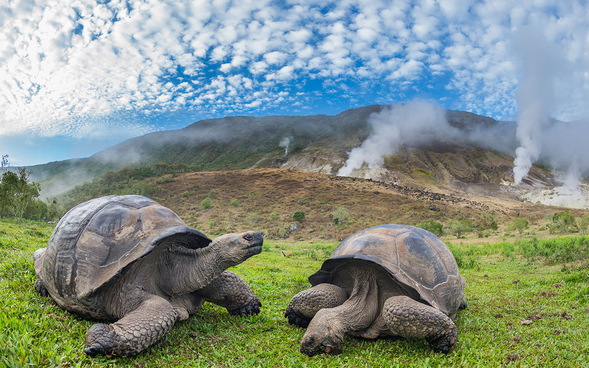 Photo by Tui De Roy from Seeing It All: Women Photographers Expose Our Planet