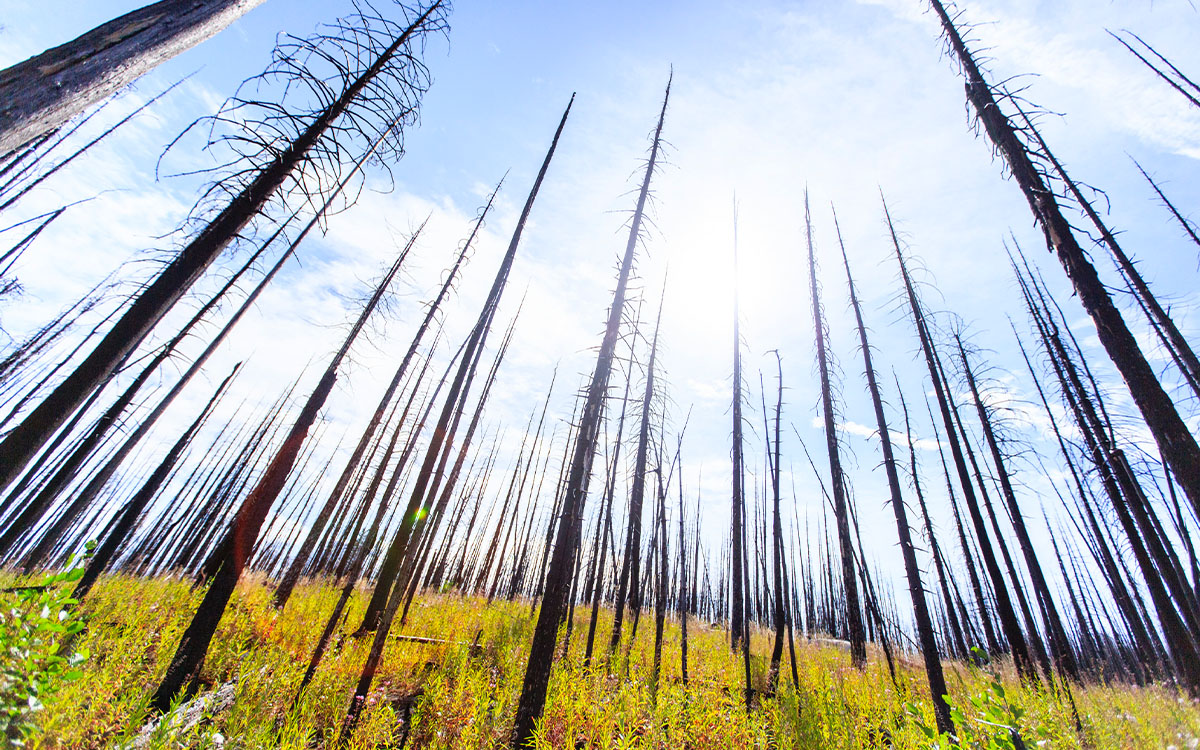 Photo by David Moskowitz