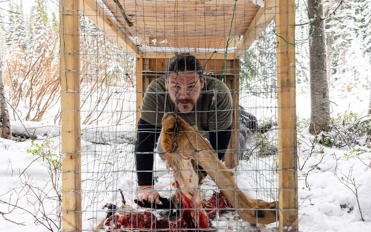 Photo by David Moskowitz