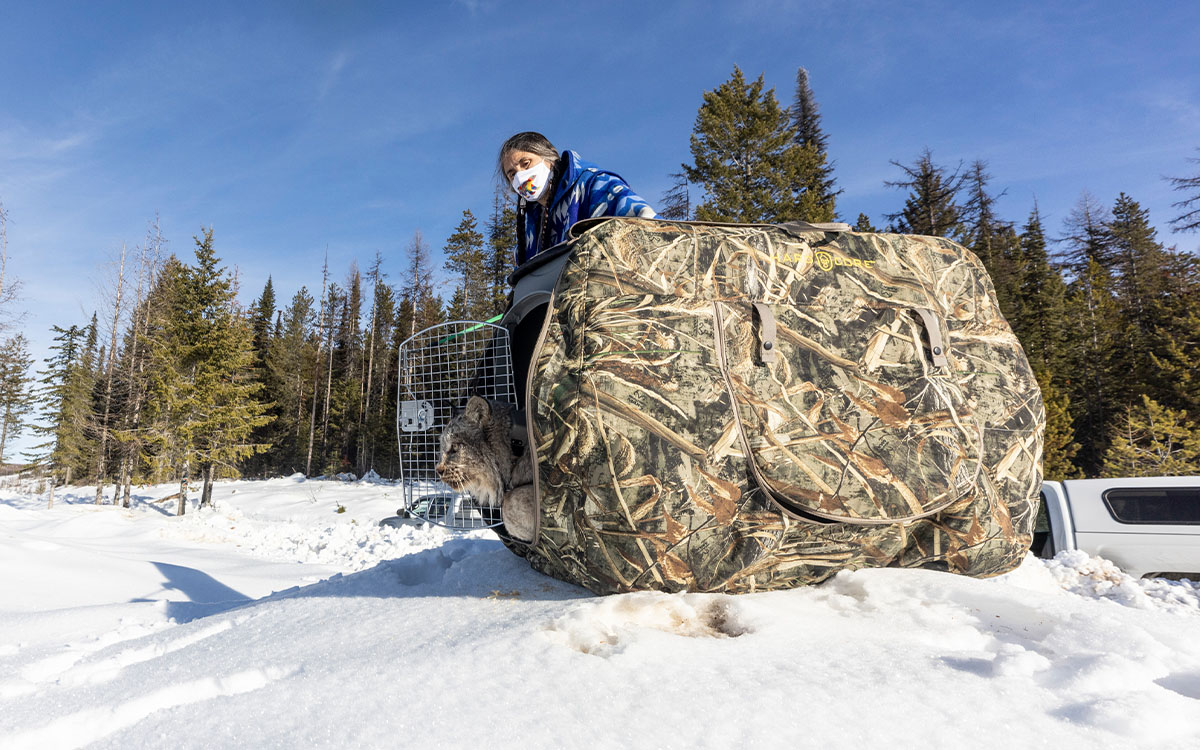 Photo by David Moskowitz