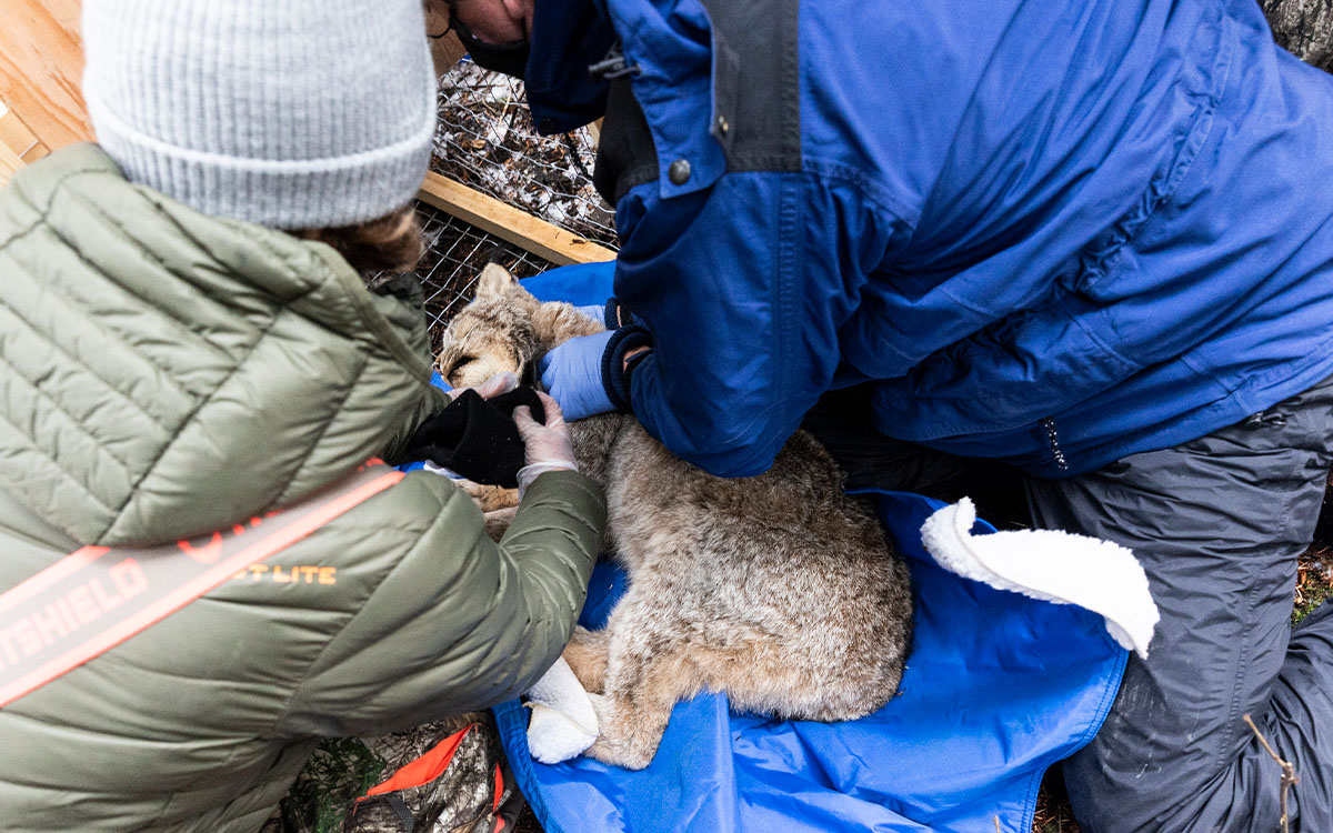 Photo by David Moskowitz