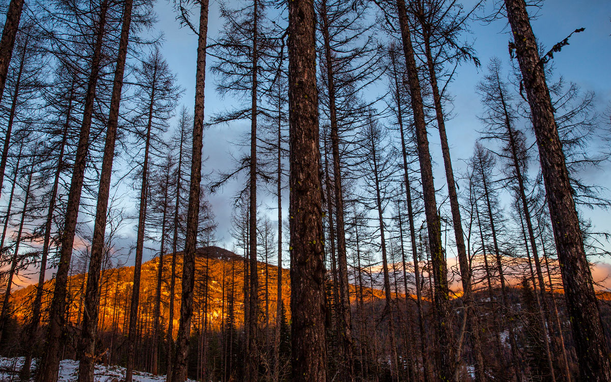 Photo by David Moskowitz