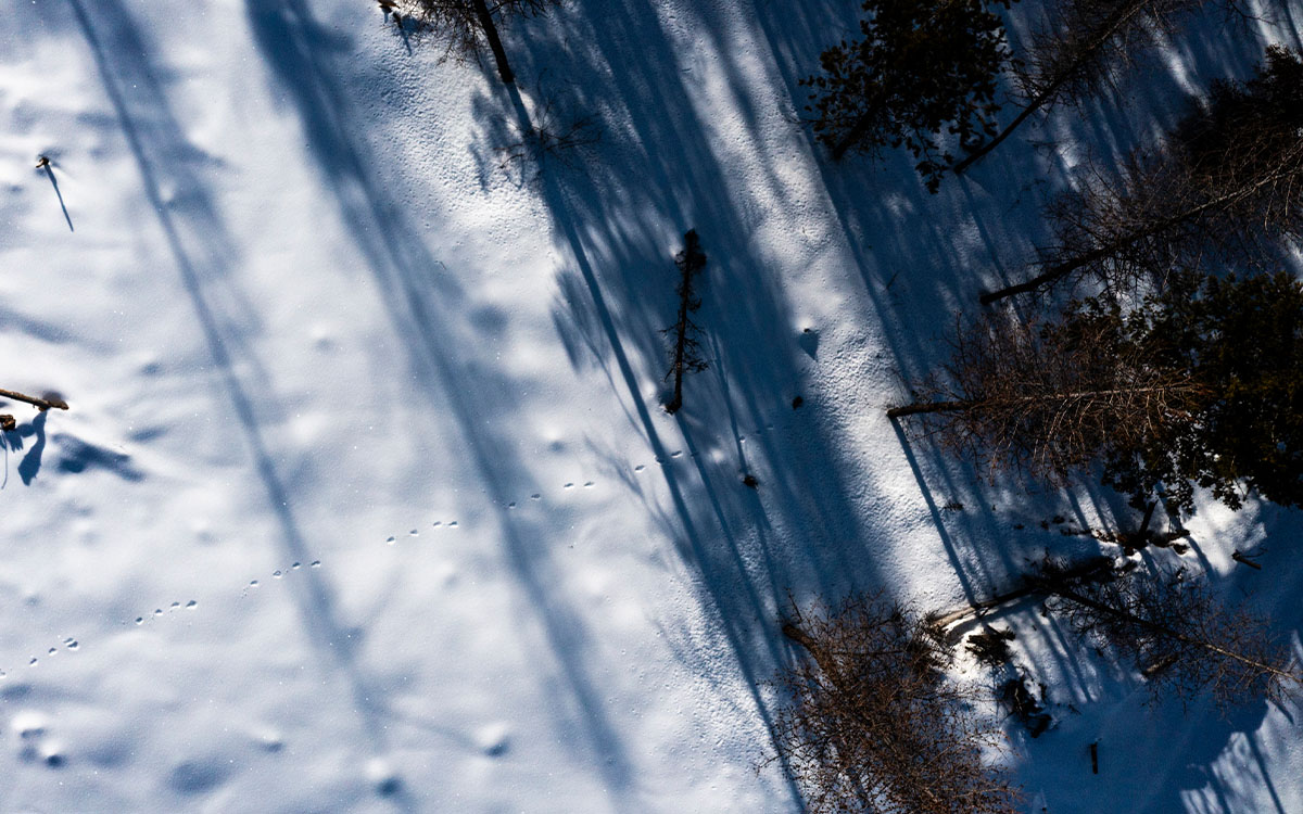 Photo by David Moskowitz