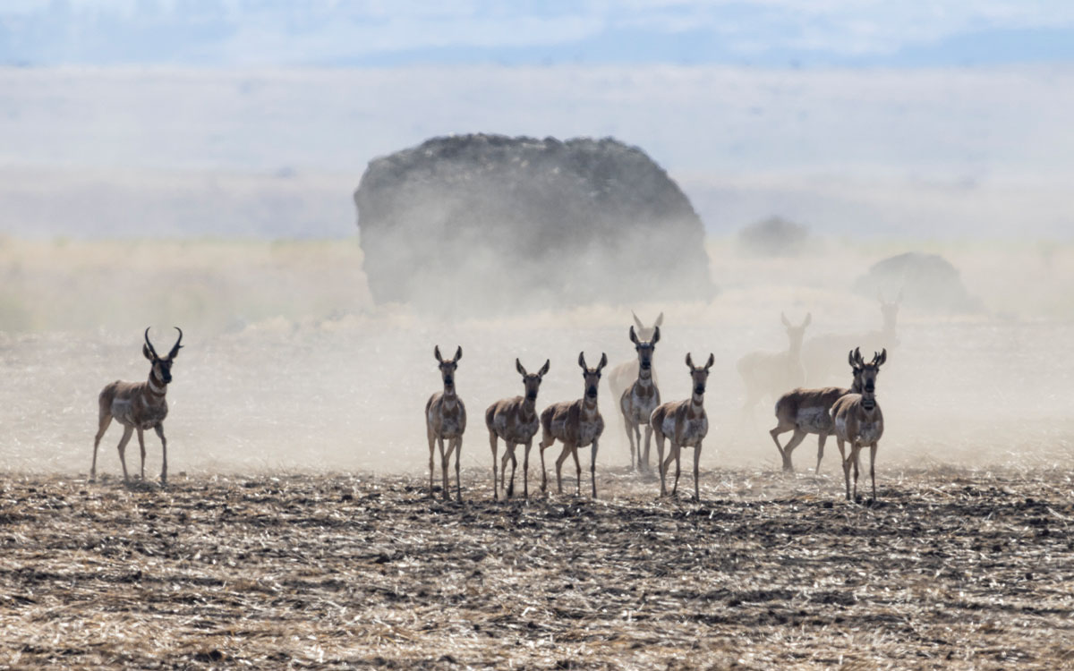 Photo by David Moskowitz