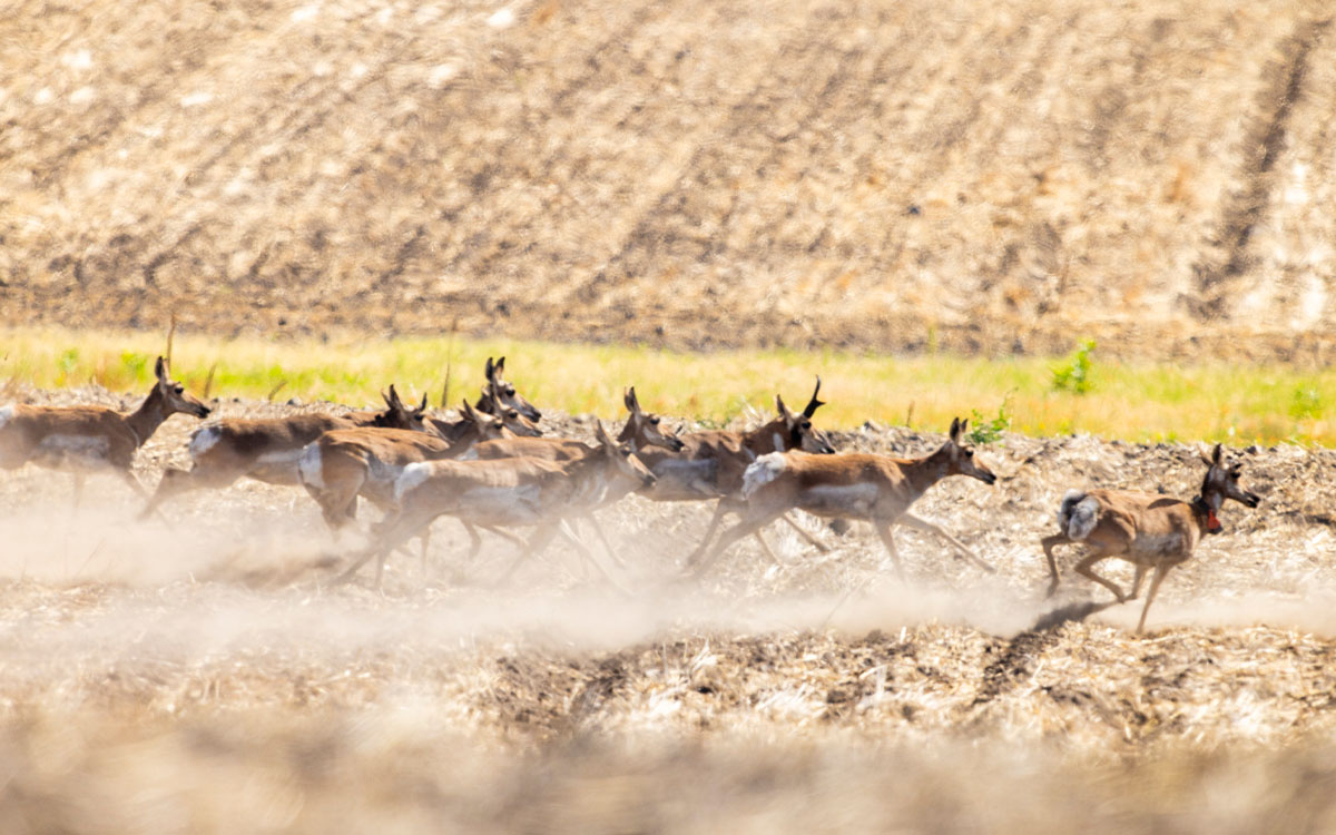 Photo by David Moskowitz