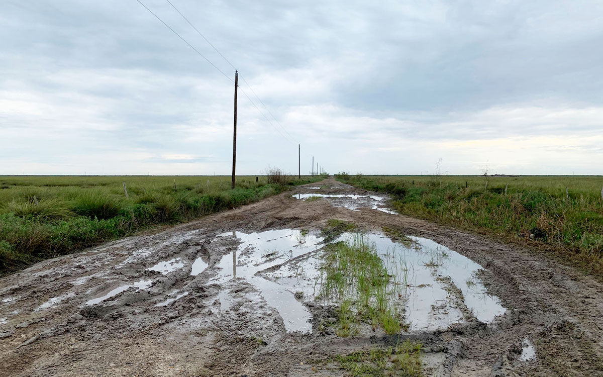 Photo by Maria Gallucci/Canary Media