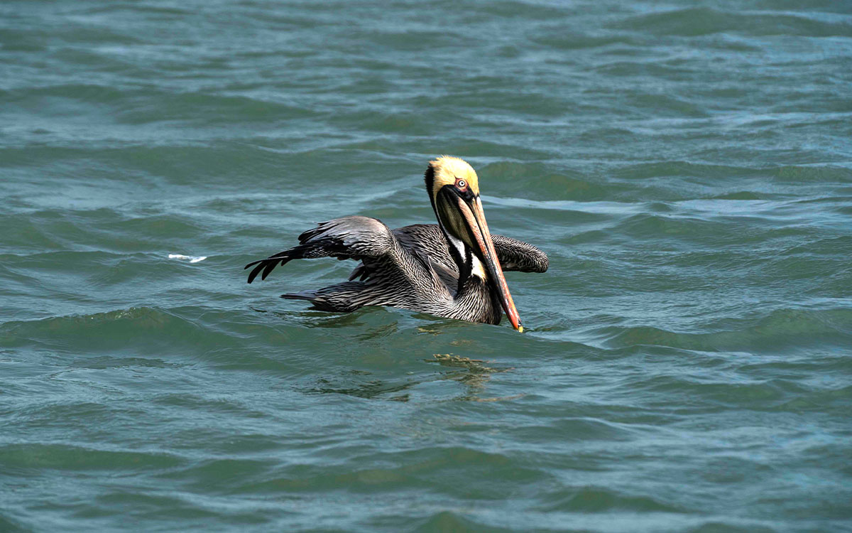  Photo by Verónica Gabriela Cárdenas for Canary Media