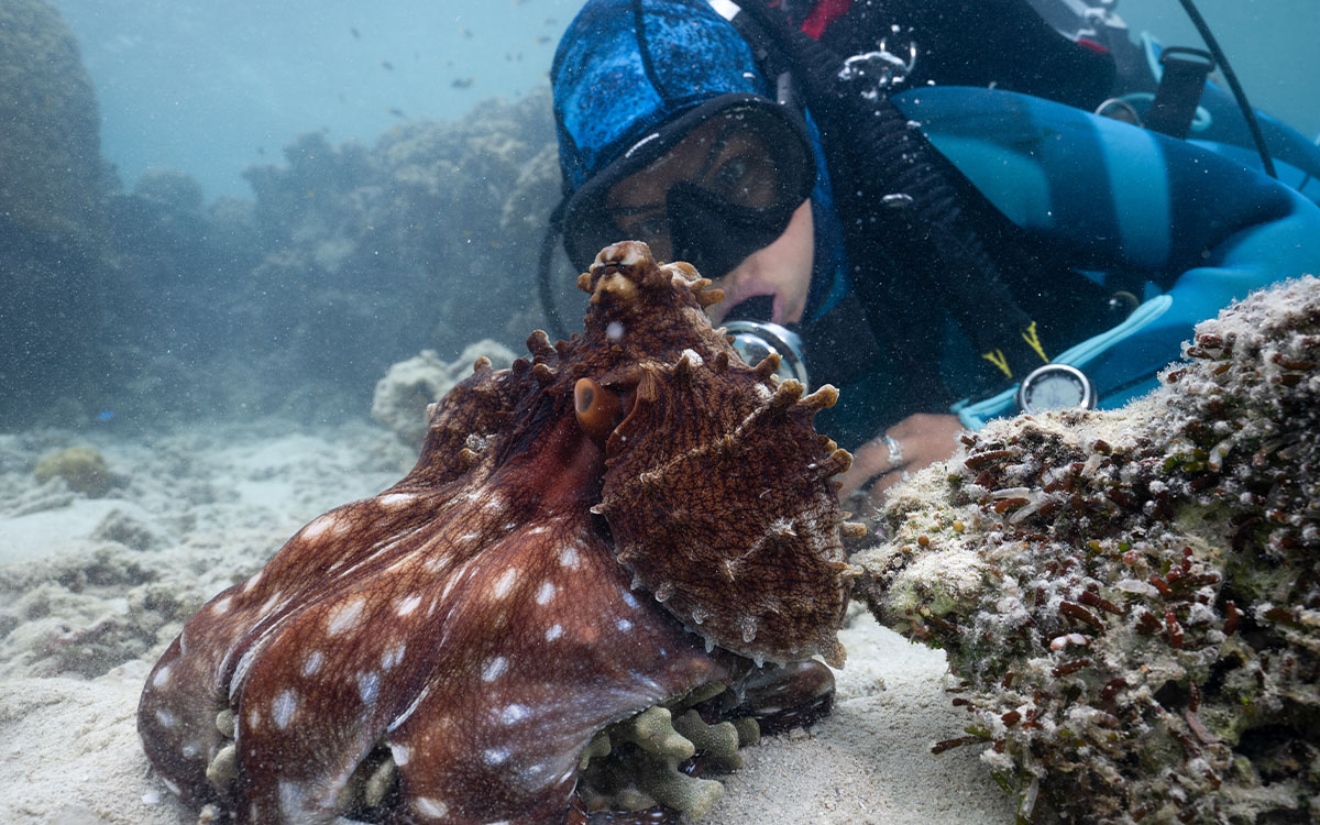 Photo by Craig Parry/National Geographic for Disney