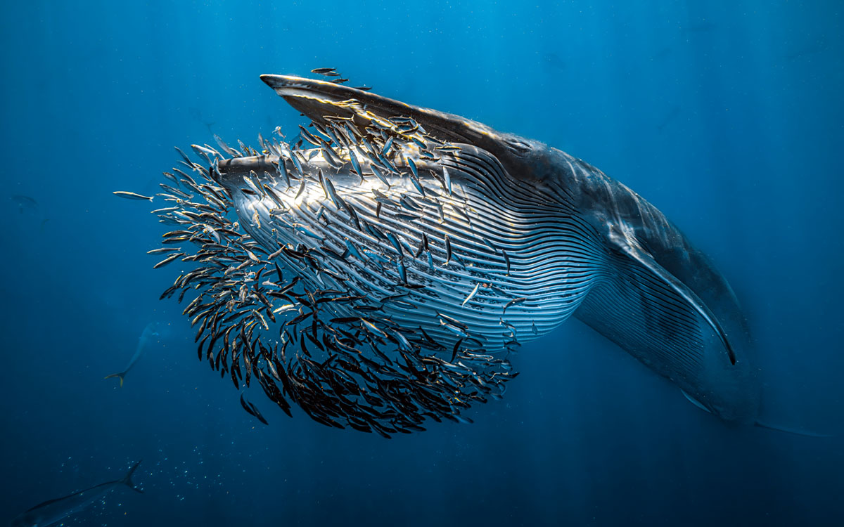 Photo by Rafael Fernandez Caballero