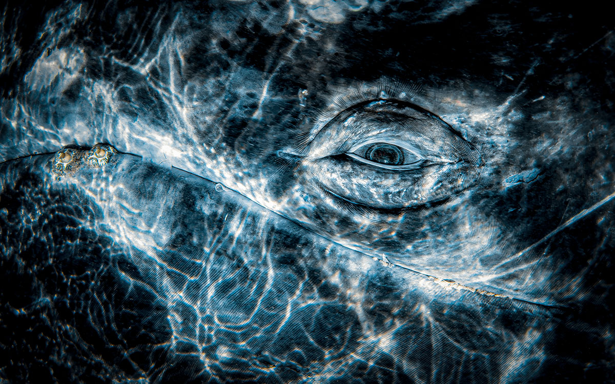 Photo by Rafael Fernandez Caballero