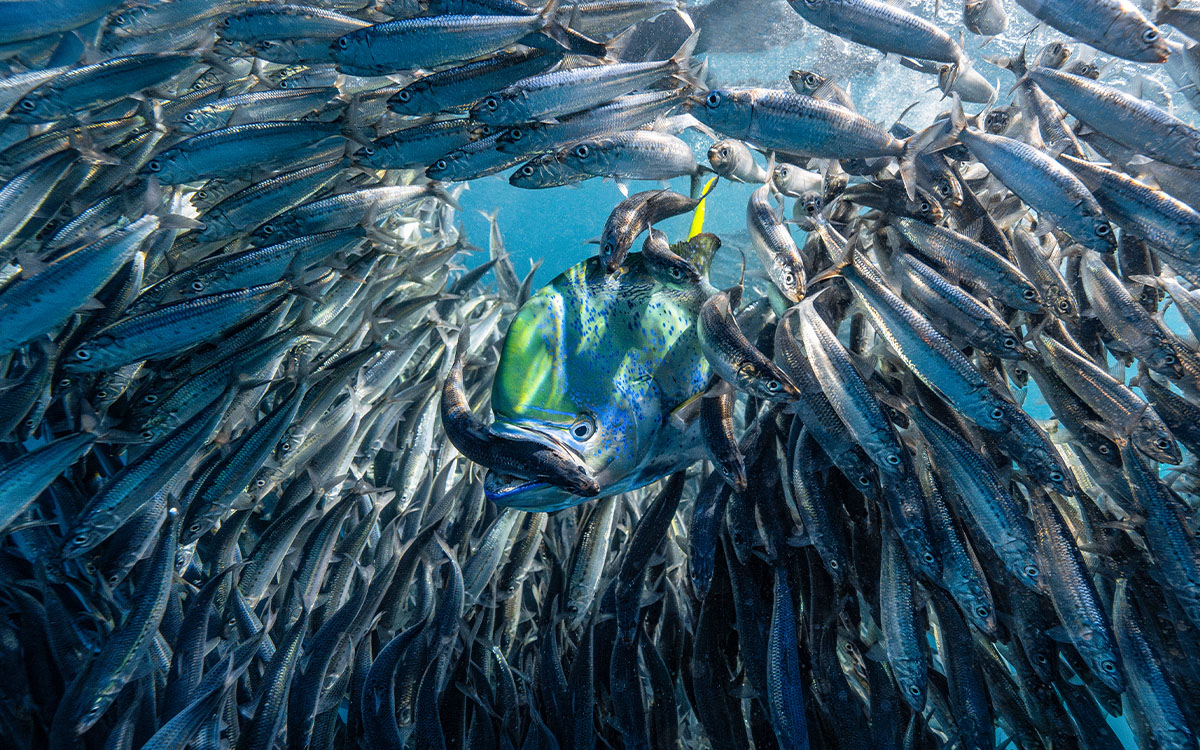 Photo by Lisa Stengel 