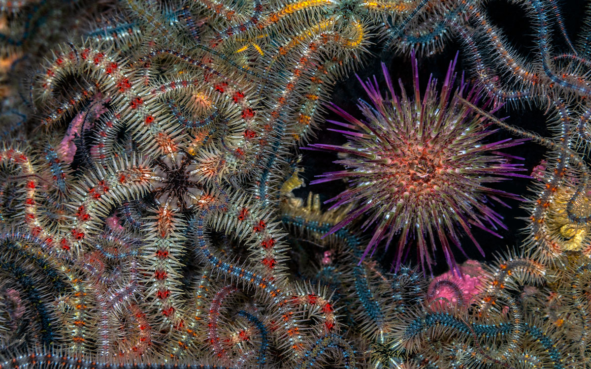 Photo by  Jenny Stock