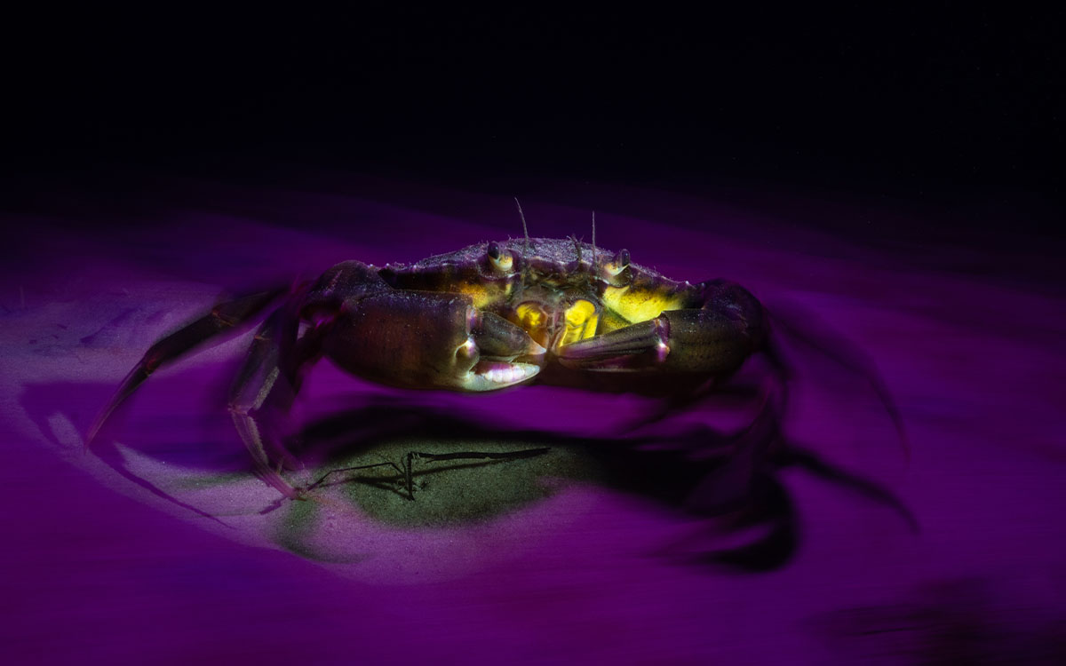 Photo by Sandra Stalker