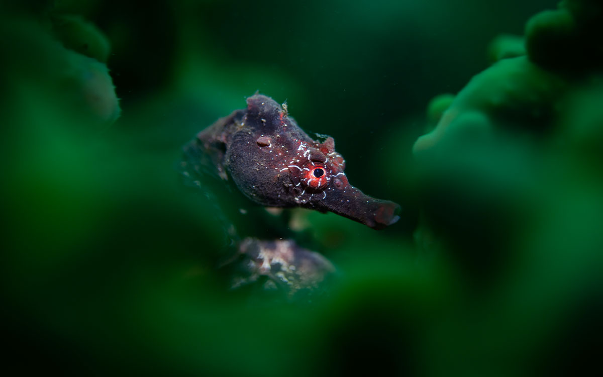 Photo by Talia Greis