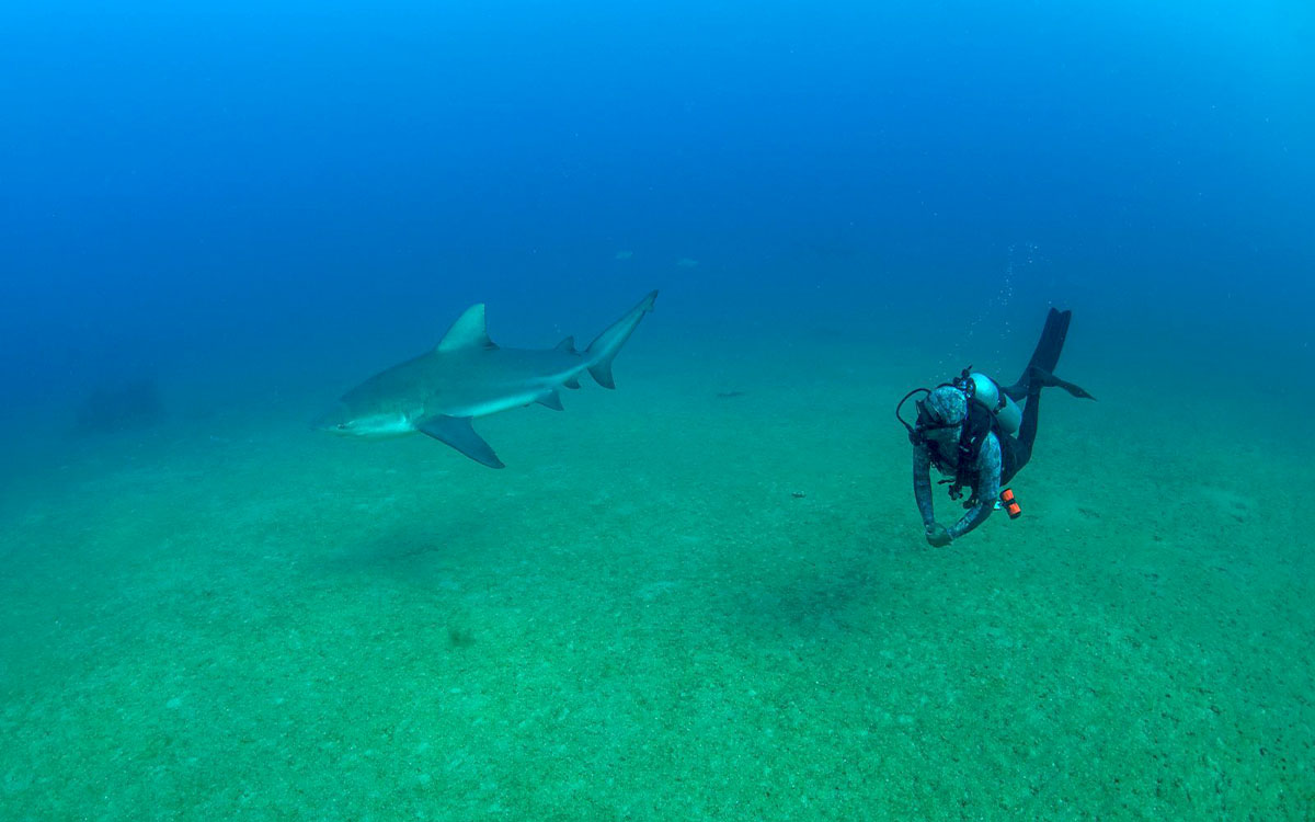 Photo courtesy of Octavio Aburto