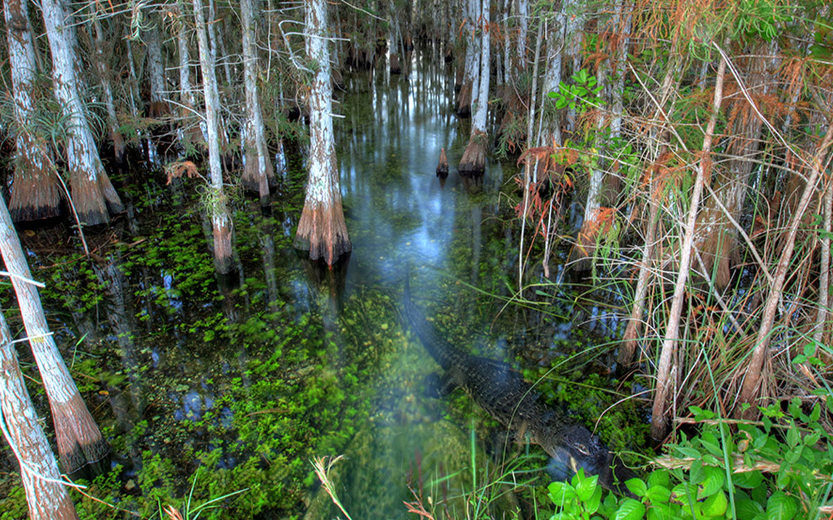 Photo by Glenn Gardner/NPS via Flickr